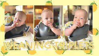 Weaning Triplets | BLW what my babies eat in a day | AD