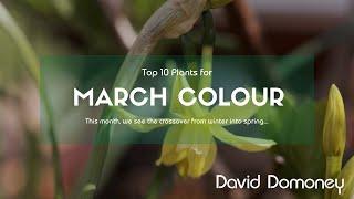 Top 10 Plants For Your Garden In March