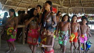 Top 10 Indian Forest Tourist Place & Amazon rainforest Tribe/Jungle ke Aadivasi/Amazon Forest Tribe