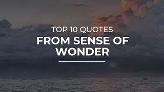 TOP 10 Quotes from Sense Of Wonder | Quotes for Whatsapp | Quotes for Pictures