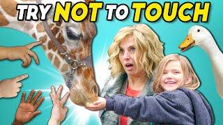 Try Not To Touch Challenge (Ft. A Baby Giraffe)