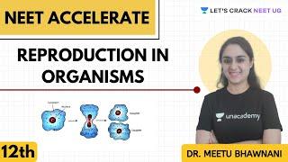 Reproduction in Organisms | Complete Biology for NEET | Class 12th | Dr. Meetu Bhawnani