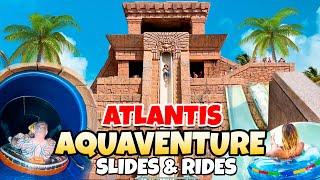 Top 10 Thrilling Water Slides & Attractions at Atlantis Aquaventure Water Park Bahamas