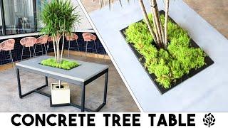 How to Make a Concrete Table with a TREE Growing Through | Living Tree Table