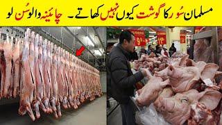 TRUTH Of Pig | Why Muslim don't eat pork Scientific reason