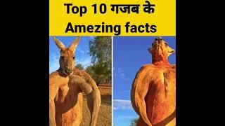 Top 10 amezing facts 