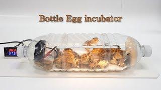 Water bottle Egg incubator #3 (페트병으로 부화기 만들기)