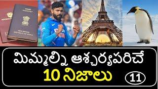 Top 10 Unknown Facts in Telugu | Interesting and Amazing Facts | Part 11 | Minute Stuff