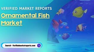 Top 10 Company In Ornamental Fish Market Size And Forecast- Verified Market Reports