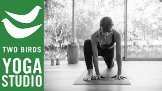 75 Minute Slow Flow Vinyasa Yoga - All Bodies Welcome
