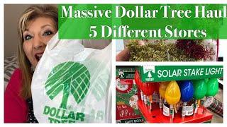 Massive Dollar Tree Haul - 5 Different Stores