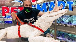 TAKING MY ALBINO ALLIGATOR TO PETSMART!! BEST OF 2021!!| BRIAN BARCZYK