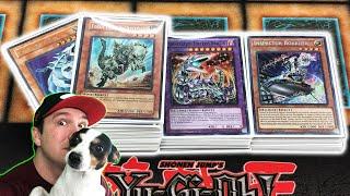 *MY YuGiOh ANTI-META CONTROL DECK PROFILE "THE JOBBER SPECIAL" HOW TO BUILD THE BEST STUN DECK 1*