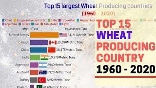 Top 15 wheat producing country ||1960 to 2020