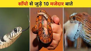 साँपो से जुड़े 10 मजेदार बाते | Top 10 Intresting Facts About Snakes | Amazing Facts | #shorts