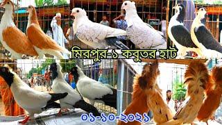 মিরপুর-১ কবুতর হাট | largest fancy pigeon market in mirpur-1 | fancy pigeon price update 2021