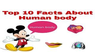 TOP 10 Facts About Human Body