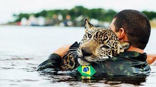 10 Inspiring Animals Rescues