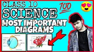MOST IMPORTANT DIAGRAMS OF SCIENCE CLASS 10 MUST DO BEFORE EXAM | SCORE 80/80 IN SCIENCE CBSE 2020