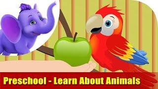 Preschool Animal Learning Songs | Learning song for Children | 4K | Appu Series