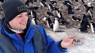 Building LEGO with Penguins in Antarctica! (4K)