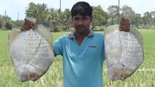 Sliver Fish Fry with Village Flavours | Super Lunch with Fish