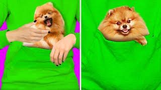 23 CUTE HACKS WITH PETS