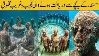 Underwater Discoveries That Cannot Be Explained - The Top 5 Underwater Discoveries You Will Believe