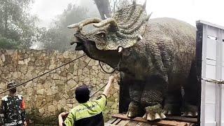 Top 10 Things That Prove Dinosaurs Still Exist | Marathon