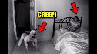 Top 10 CREEPY STRANGERS Caught In People's Houses! (Living In Attic, Man Hiding)