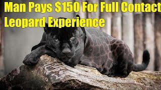 Man In Florida Pays $150 To Pet Leopard, Things Go Bad