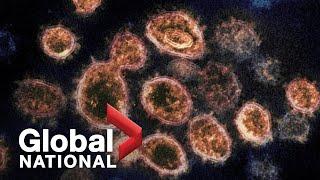 Global National: Feb. 3, 2021 | Canada races to contain highly-contagious coronavirus variants