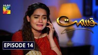 Qismat Episode 14 HUM TV Drama 1 December 2019