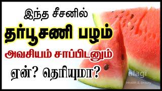 தர்பூசணி பழத்தின் நன்மைகள் | Top 10 Health Benefits of Watermelon | Natural Viagra | Summer Fruit