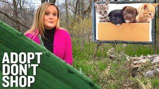 Pandemic Pets Should Have A "No Return Policy” | Full Frontal on TBS