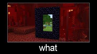 Minecraft wait what meme part 66 (transparent portal)