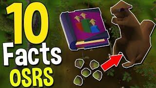 Top 10 Lesser Known Facts About OSRS! Oldschool Runescape Facts #9