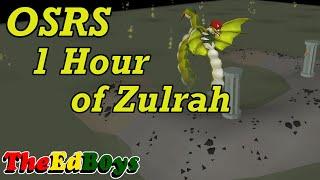 OSRS 1 Hour of Zulrah | Live Zulrah Example Kills