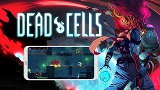 Dead Cells Mobile Gameplay Android APK & IOS Download