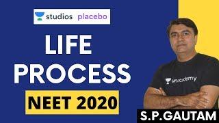 Life Process Part - 4 | Biology | Class 10 Foundation | SP Gautam