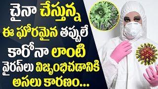 Top 10 Mistakes China Did in Case Of Coronavirus|చైనా 10 తప్పులు|Wuhan China Virus|Video Factory