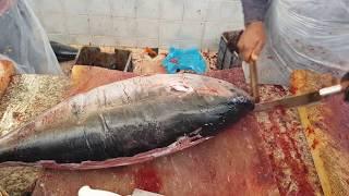 40 LBS/ 20 KG $500 Tuna Fish Fillet by Small Knife।Unique Skilled Way of Cutting Giant Tuna Fish