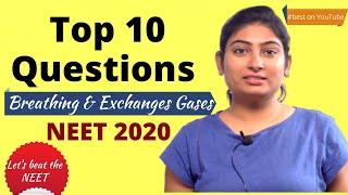 Top 10 Questions of Breathing & Exchanges Gases for NEET 2020