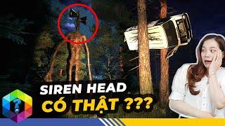 Chuyện Gì Xảy Ra Nếu Quái Vật Đầu Loa Siren Head Thật Sự Tồn Tại? - Top 1 Khám Phá