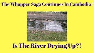 The Whopper Saga Continues In Cambodia! Is The River Drying Up?!