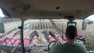 HARD CONDITIONS in cab ! ⚠️ Corn Harvest 2019 in FRANCE 