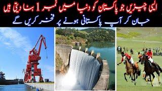 10 Things Which Make Pakistan a Top Country in the World | infoio