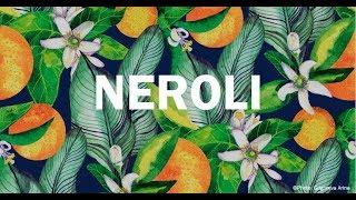 Top 10 Neroli Fragrance From Collection (2020)