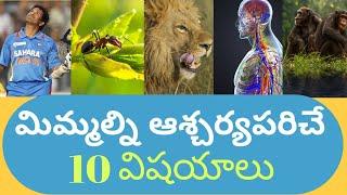 Top 10 interesting facts in Telugu || unknown and amazing facts || ssv sandeep mind