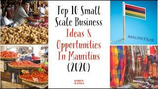 Top 10 Business Ideas & Opportunities In Mauritius 2020,Top 10 Best Business Ideas in Africa